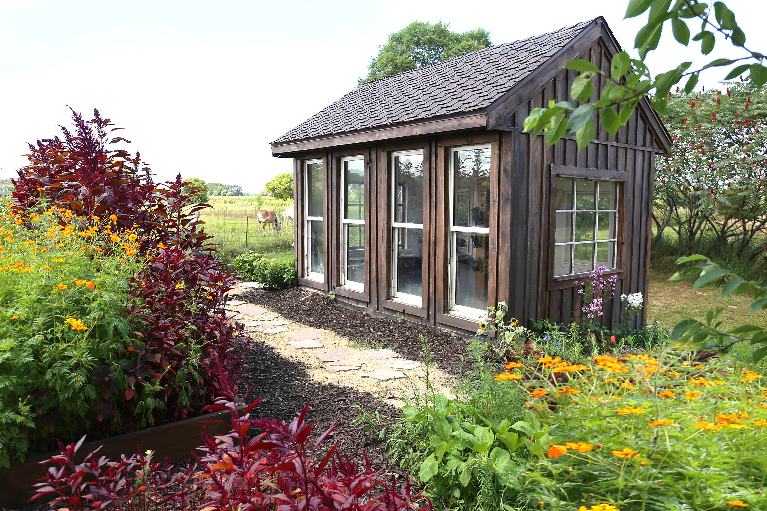 How An Updated Shed Can Increase Your Home Value