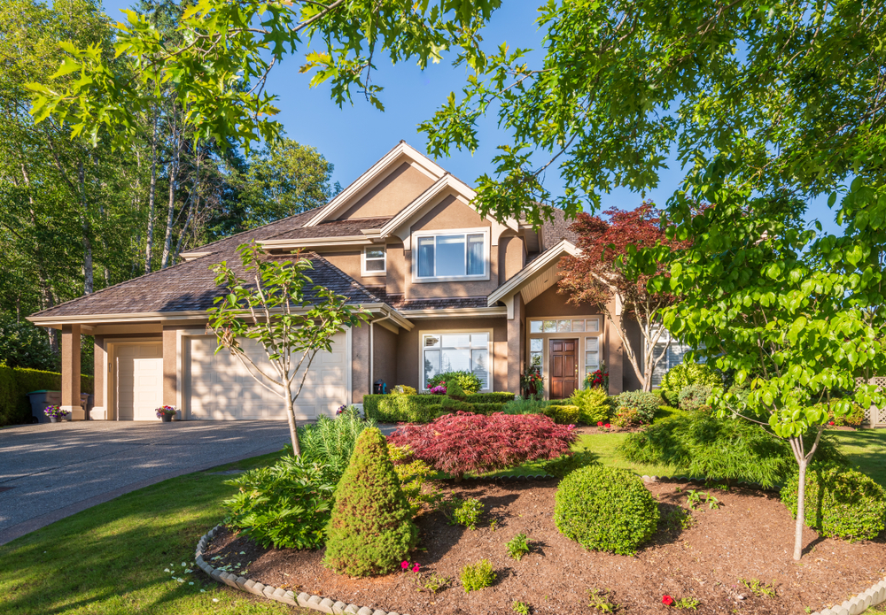 curb appeal landscaping