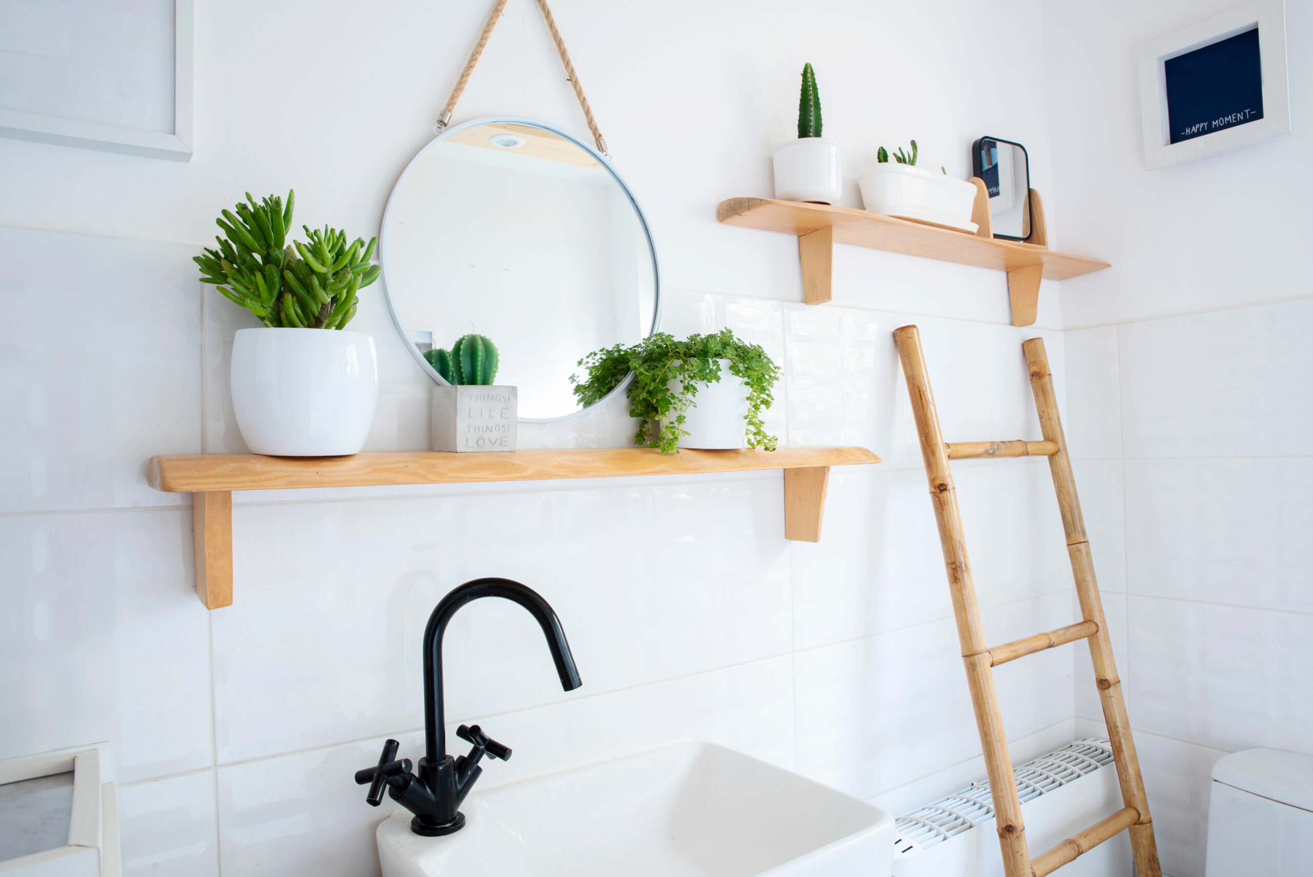 modern DIY bathroom with plants on shelves