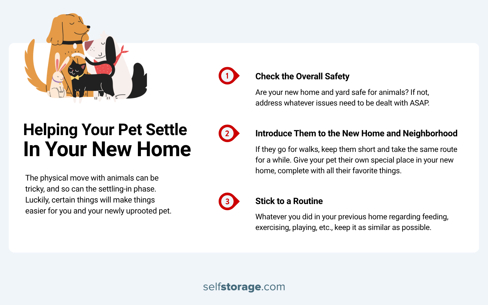 how to help your pet settle after a move